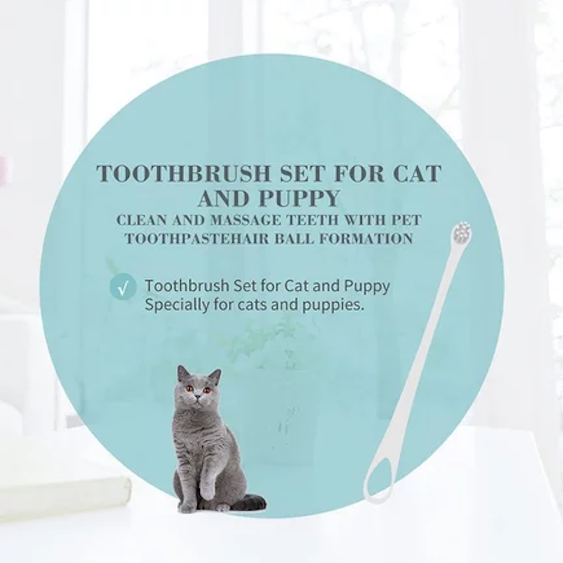 แปรงสีฟันหัวเล็กพิเศษ สำหรับสุนัขและแมว Toothbrush Set 2