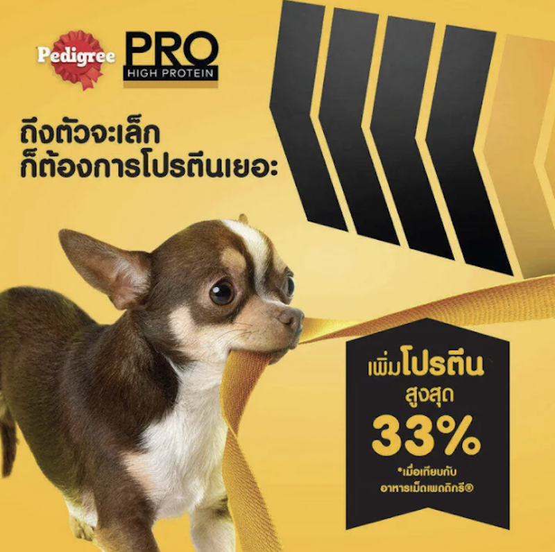 โปร อาหารหมาพันธุ์ทอยและเล็กสูตรโปรตีนสูง 3