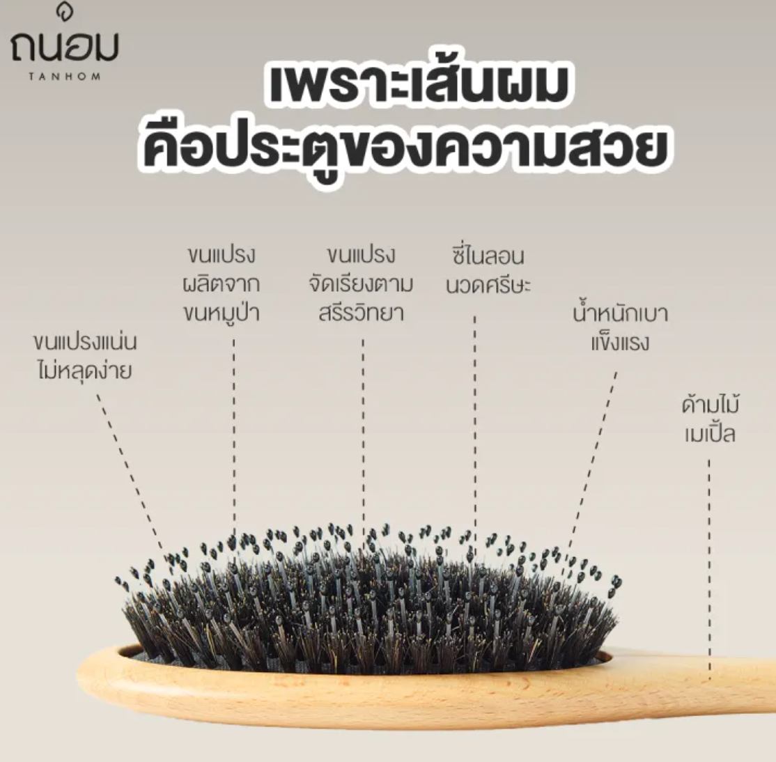 Boar Bristle Brush หวีขนหมูป่าแท้ 2