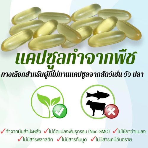 น้ำมันงาดำสกัดเย็น 1,000 มก. 2