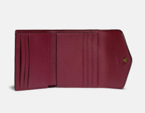 Wyn Small Wallet In Colorblock 2