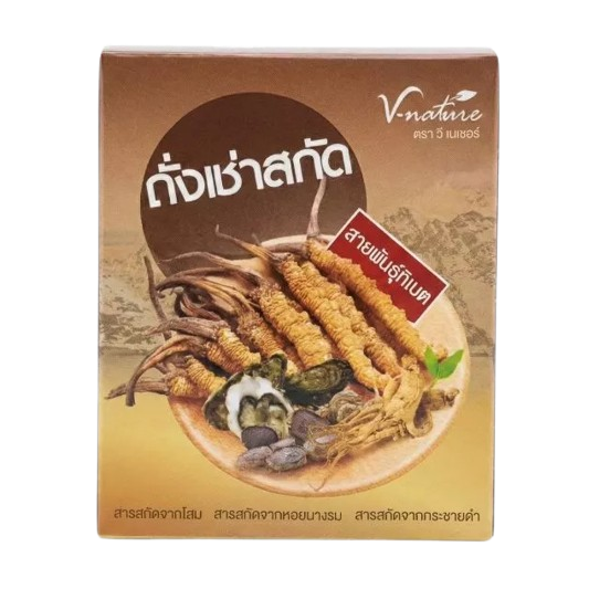 ถั่งเช่าสกัด Cordyceps 1