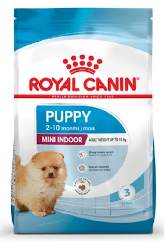 Mini Indoor Puppy 1