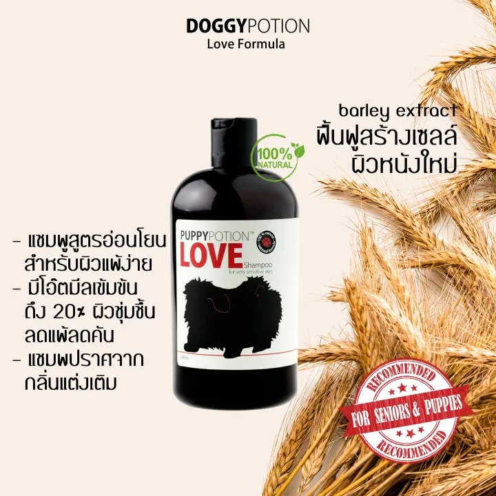 Love Shampoo 3