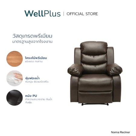 เก้าอี้พักผ่อน Recliner 3