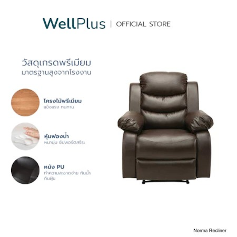 เก้าอี้พักผ่อน Recliner 3
