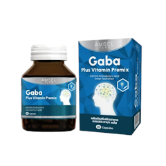 GABA Plus Vitamin Premix