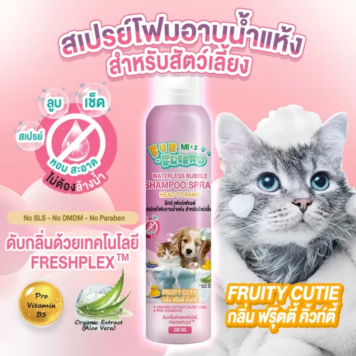 สเปรย์โฟมอาบน้ำแห้ง 2