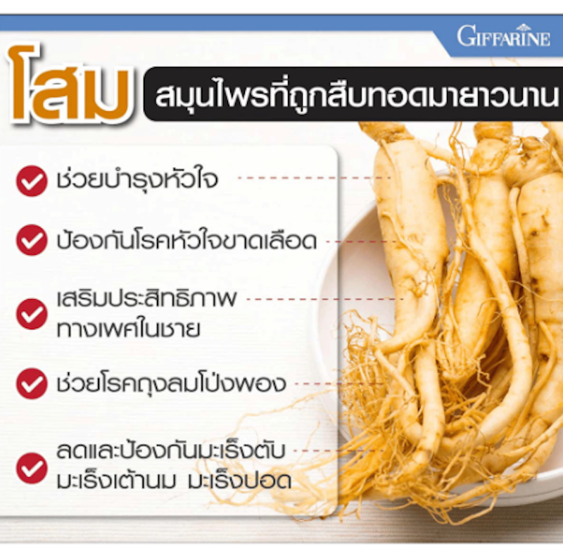 Korean Ginseng Capsule 3