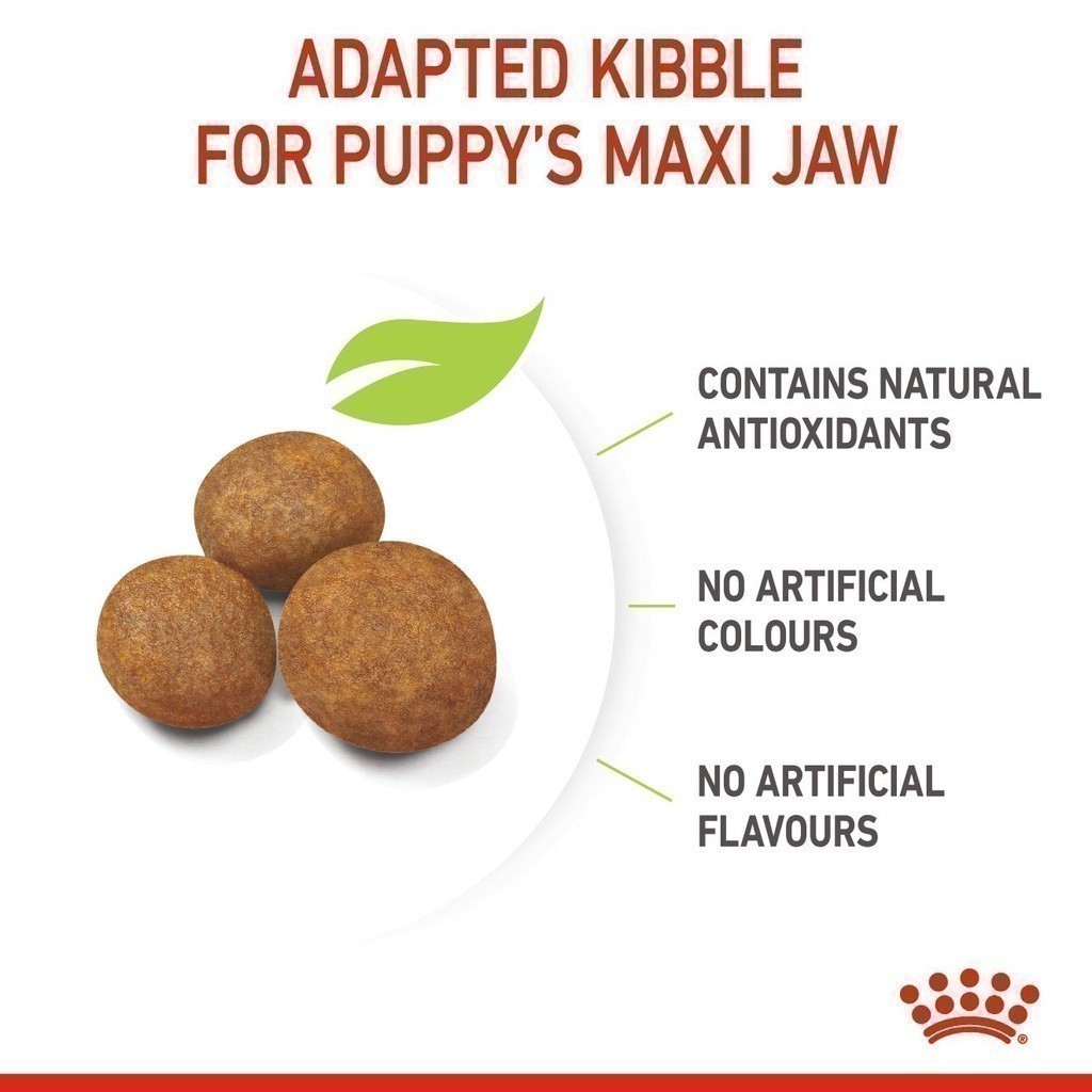 Maxi Puppy 3