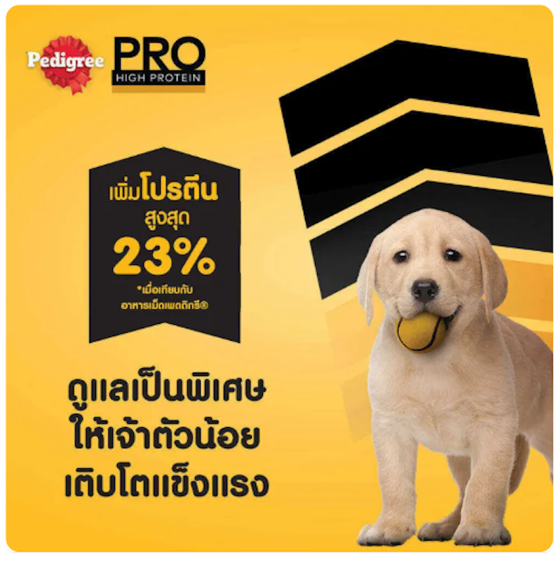 อาหารเม็ดลูกสุนัขสูตรโปรตีนสูง 2