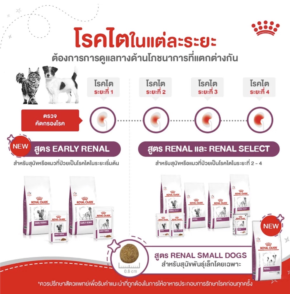 Renal Cat อาหารแมว โรคไต 3