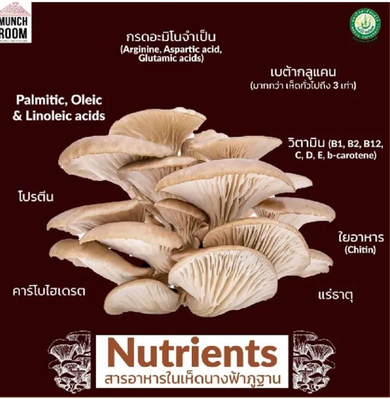 เห็ดอบกรอบ รสออริจินัล 3