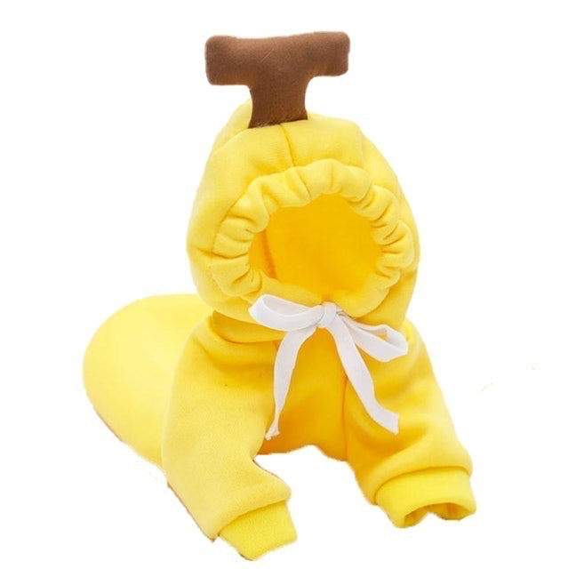 เสื้อกันหนาวน้องหมา