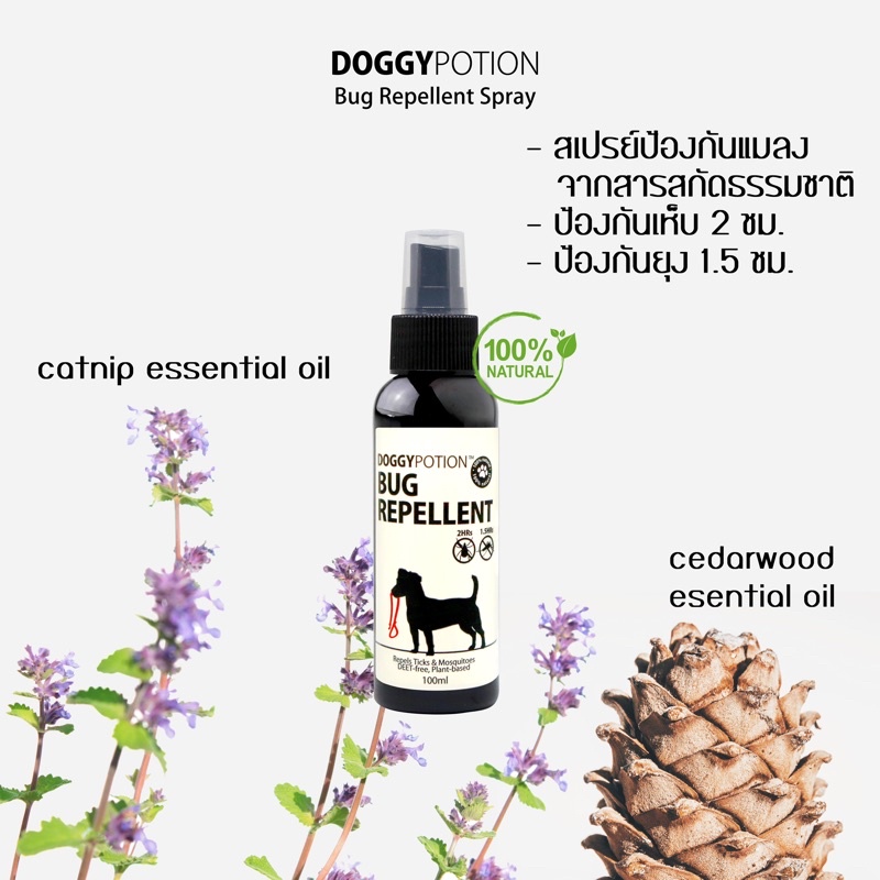 Bug Repellent Spray 2