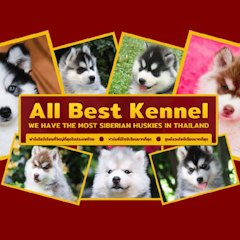 ฟาร์มสุนัข All Best Kennel