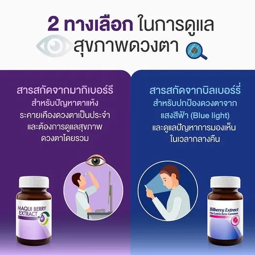  Bilberry Extract Plus Lutein Beta-Carotene 2