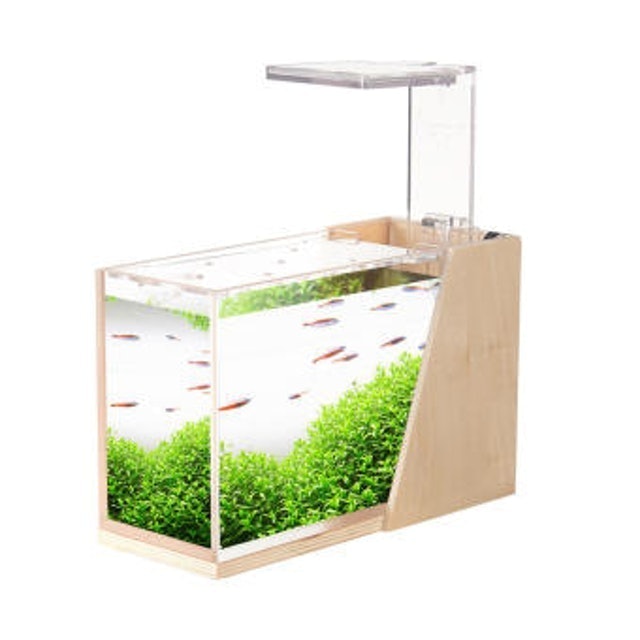 10 โหลปลา ยี่ห้อไหนดี ปี 2026 ดีไซน์สวยงาม มีไฟ LED 2