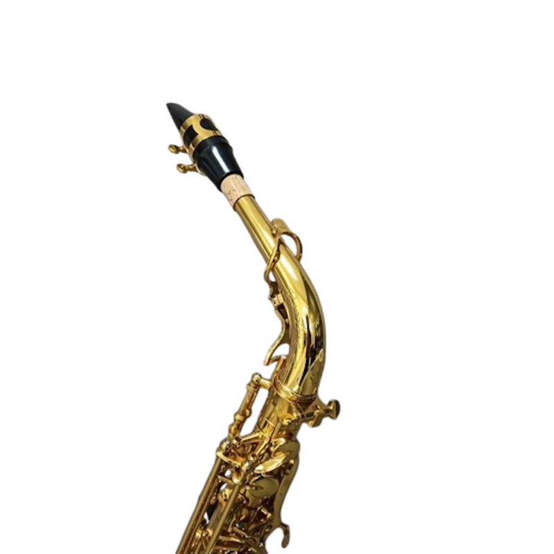 Alto Saxophone OSA-101 EX 2