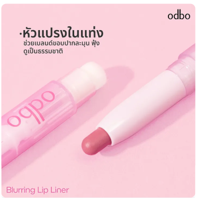 Blurring Lip Liner 3