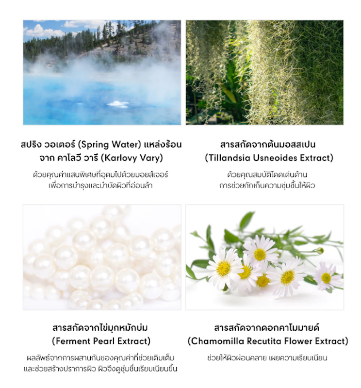 Essential Mool Micro Fitting Mist 3