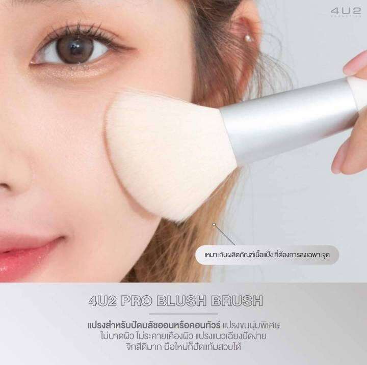 Pro Blush Brush 4