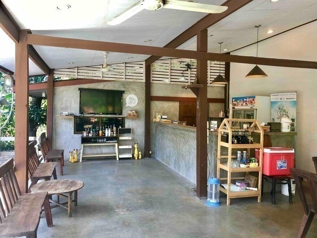 ที่พักเขาใหญ่ กางเต้นท์ เขาใหญ่วันวัน ออร์แกนิค แฟมิลี่ 4