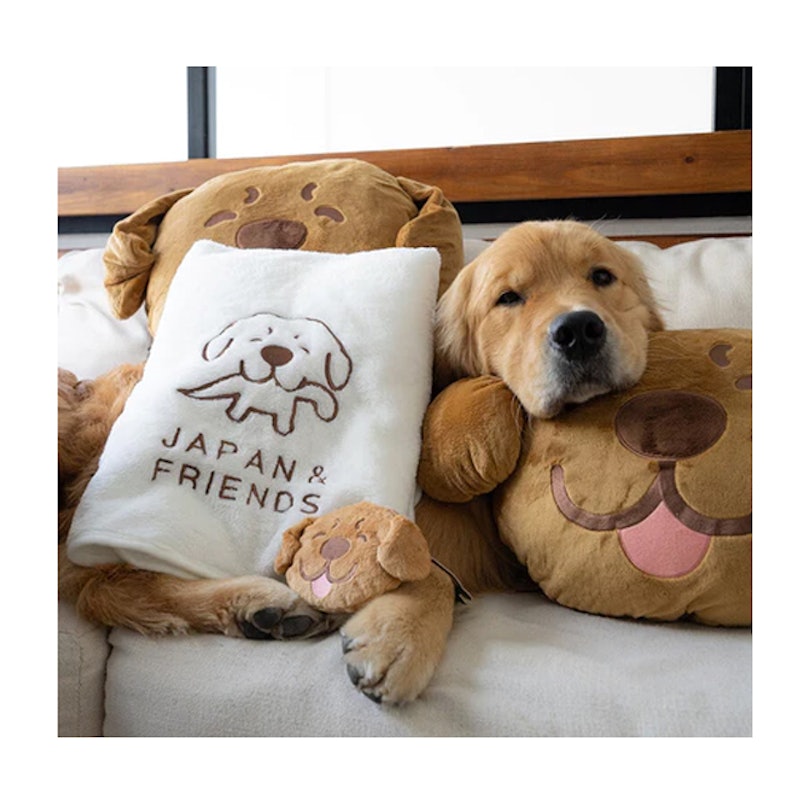 หมอนผ้าห่มจุ๊ม Joommeng Mee Arai Pillow And Blanket 3