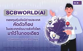 กองทุนเปิดไทยพาณิชย์ ดัชนีหุ้นโลก SCBWORLD(E) 3