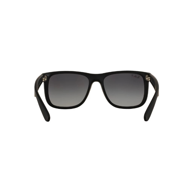 Justin Polarized 2
