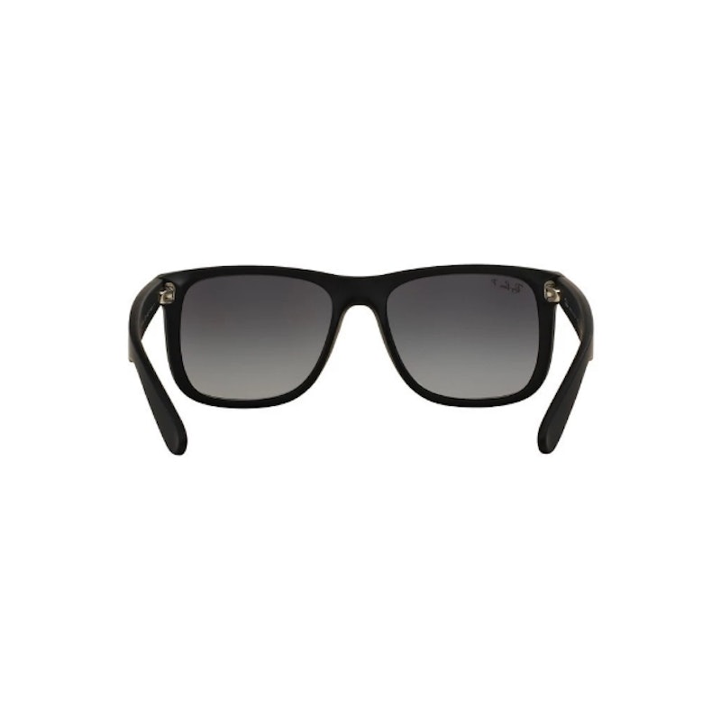 Justin Polarized 2