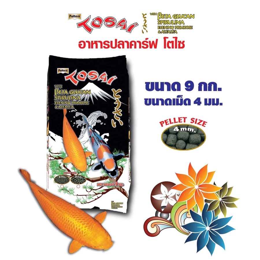สูตรเร่งโต เน้นความเงางามของเกล็ด 2