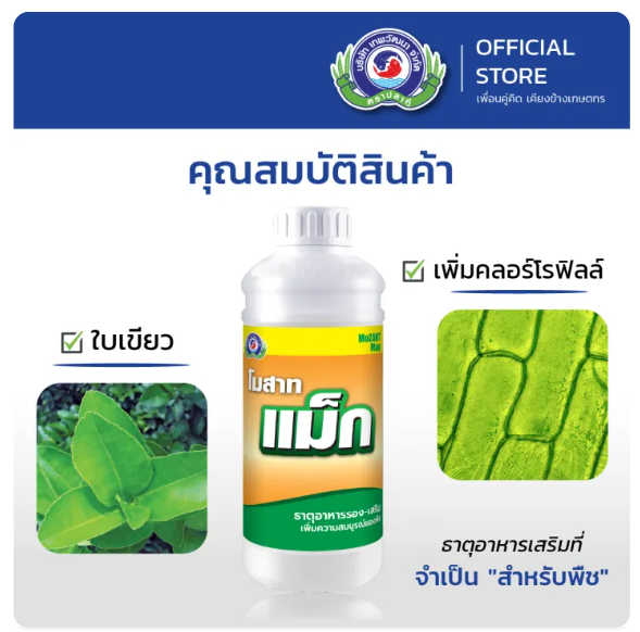 โมสาท แม็ก 3