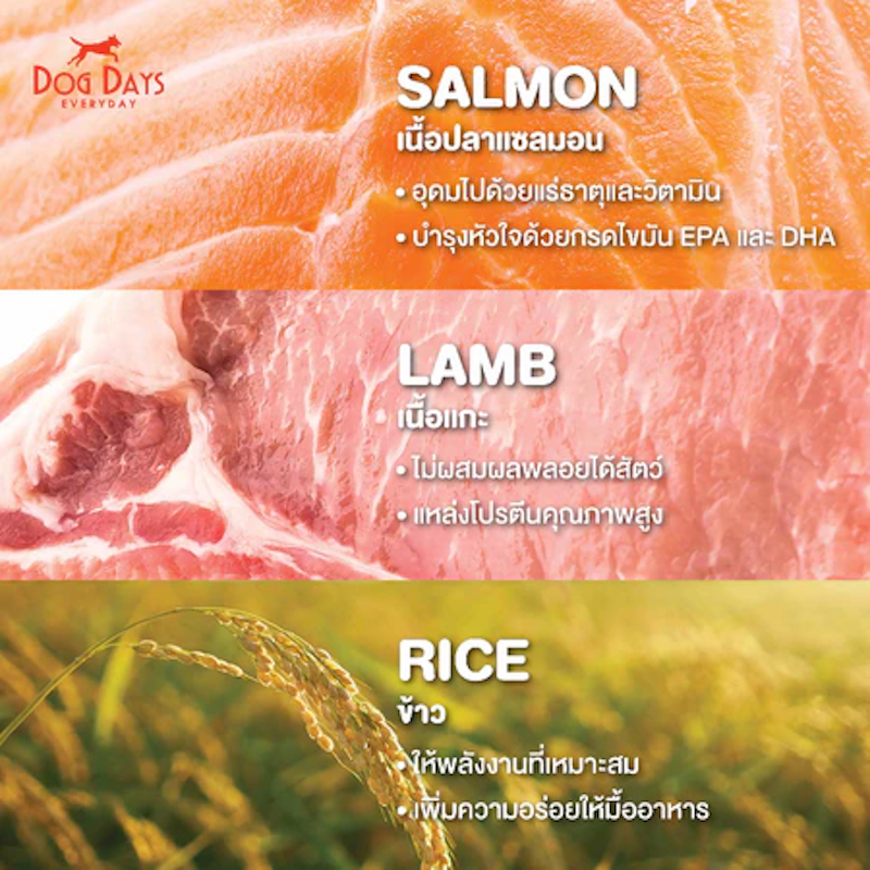 Lamb and Rice Recipe 3