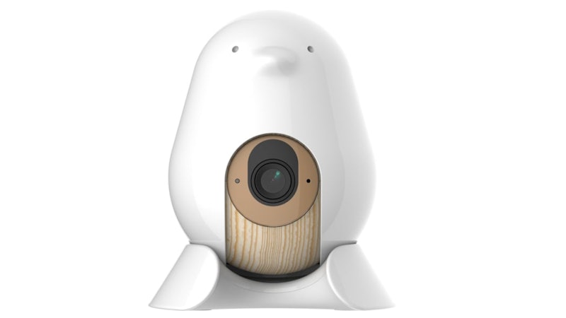 Baby Monitor Camera 2