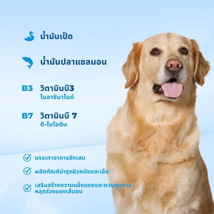 อาหารสุนัข Holistic Premium Dogfood D1  2