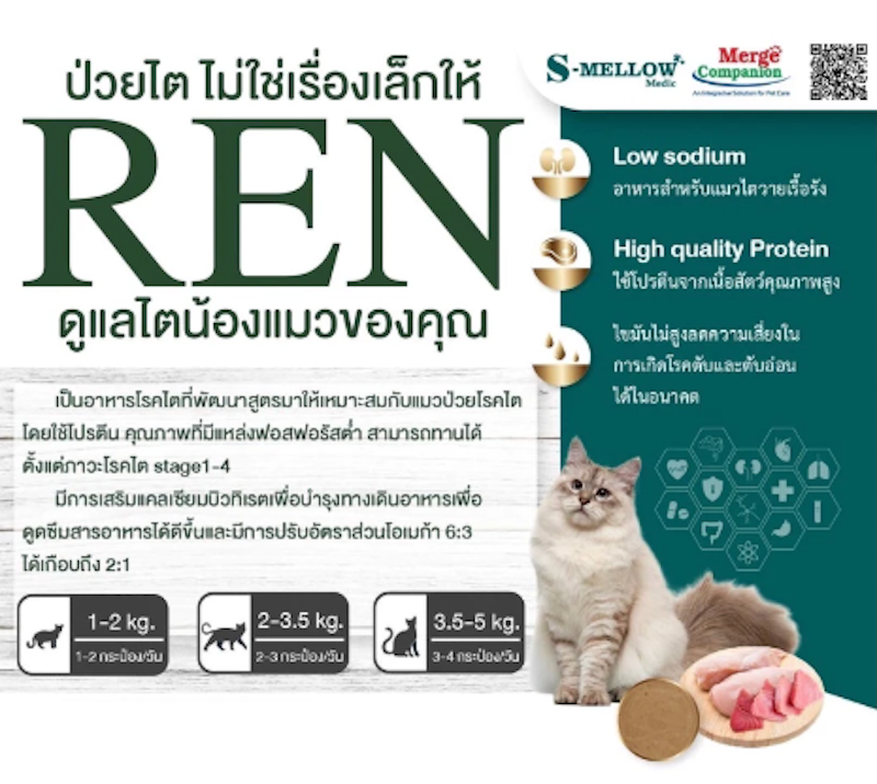 REN อาหารแมวป่วยโรคไต 2