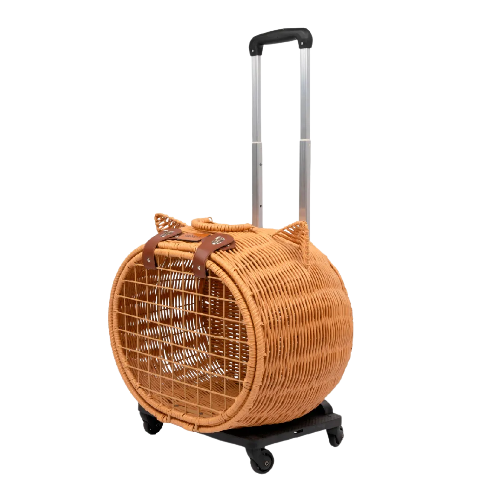 Pet Luggage 1