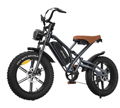 Electric Bike  1