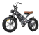 JANSNO-EBIKE Electric Bike 1