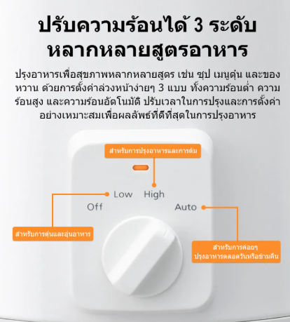 หม้อตุ๋นไฟฟ้า รุ่น NF-N31AWSN 2