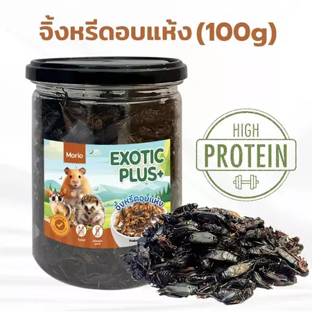 แมลงอบแห้ง 2