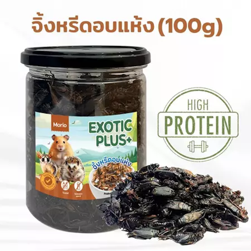 แมลงอบแห้ง 2