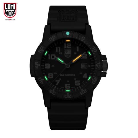 Leatherback Sea Turtle Giant 0320 Series  2