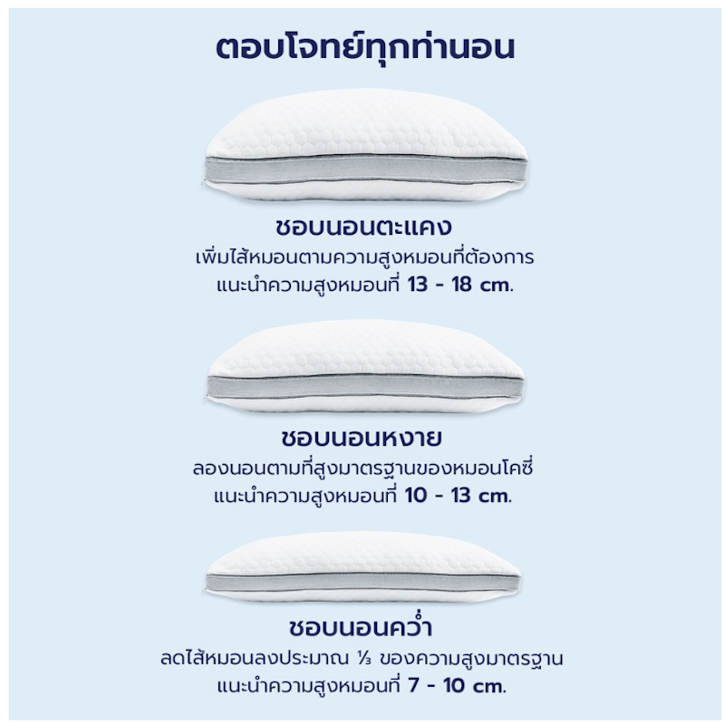 หมอนโคซี่ Cozy Pillow 4