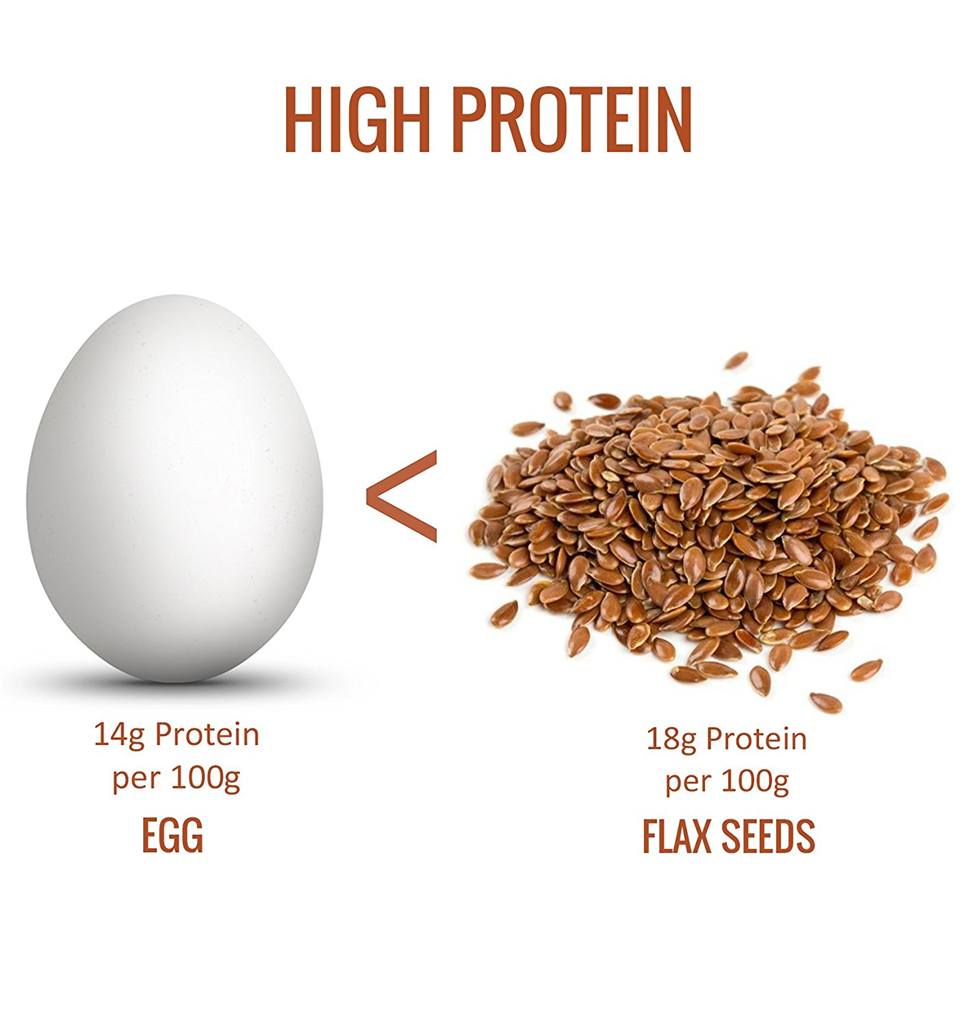เมล็ดแฟลกซ์ Brown Flaxseed 3