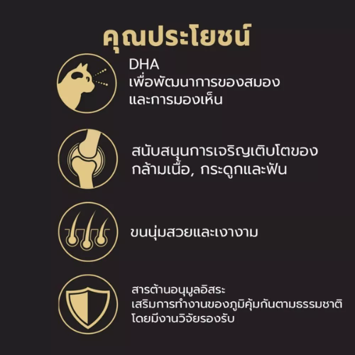 PRO PLAN Cat อาหารลูกแมว รสไก่ 3