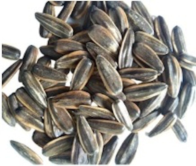 ของฝากลพบุรี เมล็ดทานตะวันคั่ว 1