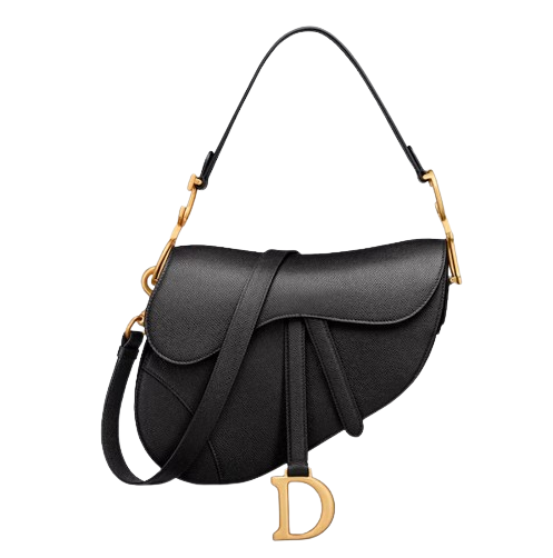 Dior Saddle  2