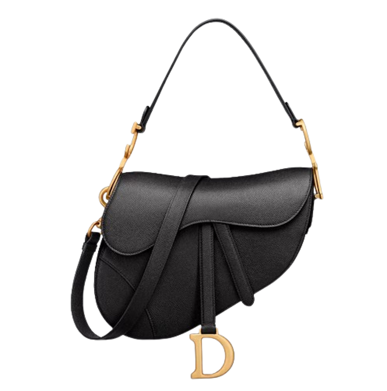 Dior Saddle 2